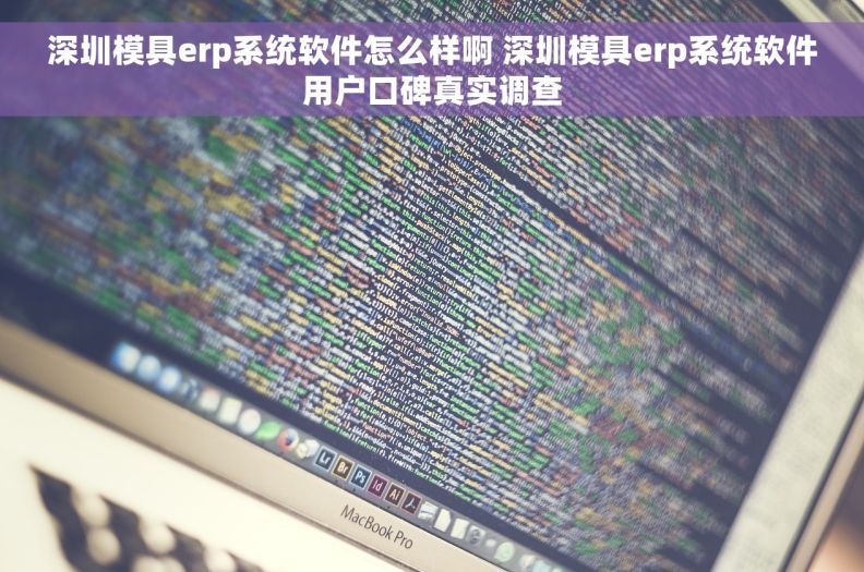 深圳模具erp系统软件怎么样啊 深圳模具erp系统软件用户口碑真实调查