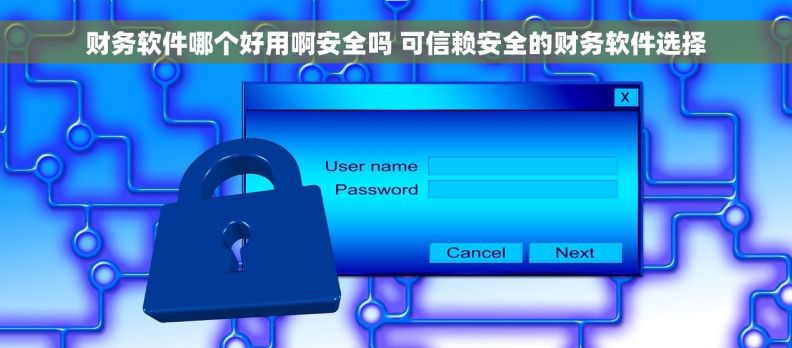 财务软件哪个好用啊安全吗 可信赖安全的财务软件选择