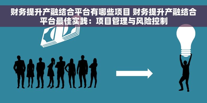 财务提升产融结合平台有哪些项目 财务提升产融结合平台最佳实践：项目管理与风险控制