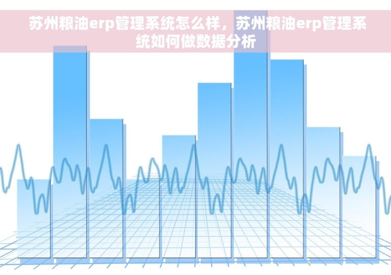  苏州粮油erp管理系统怎么样，苏州粮油erp管理系统如何做数据分析