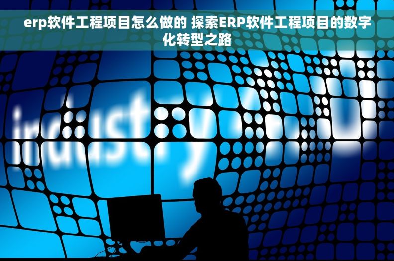 erp软件工程项目怎么做的 探索ERP软件工程项目的数字化转型之路