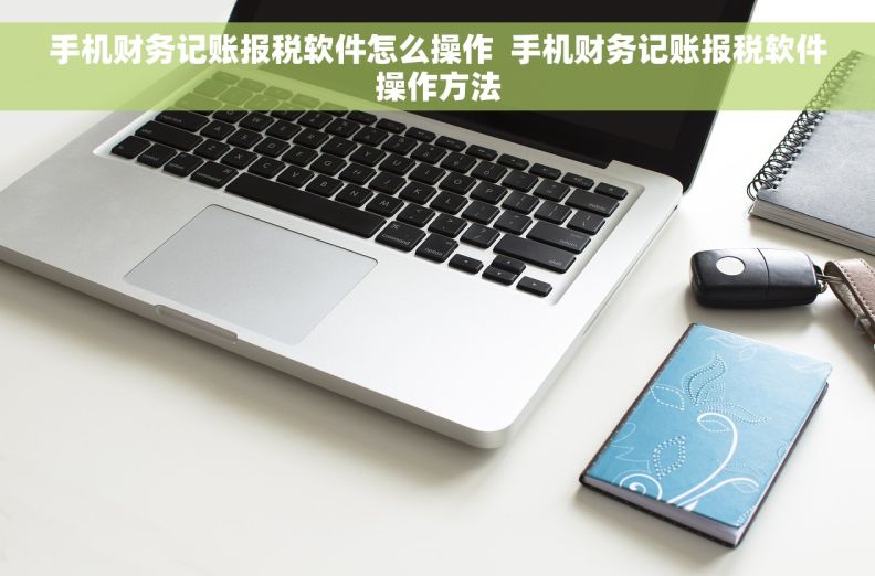 手机财务记账报税软件怎么操作  手机财务记账报税软件操作方法