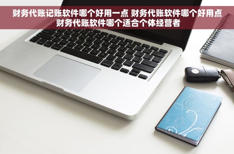 财务代账记账软件哪个好用一点 财务代账软件哪个好用点 财务代账软件哪个适合个体经营者