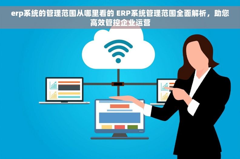 erp系统的管理范围从哪里看的 ERP系统管理范围全面解析，助您高效管控企业运营