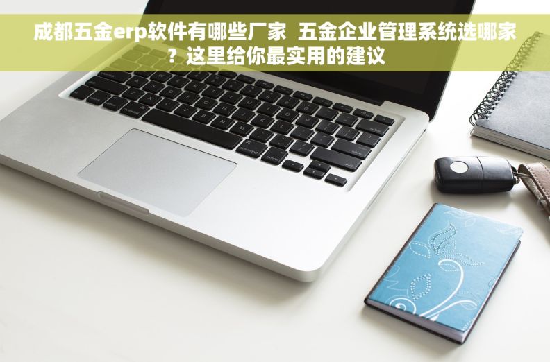 成都五金erp软件有哪些厂家  五金企业管理系统选哪家？这里给你最实用的建议