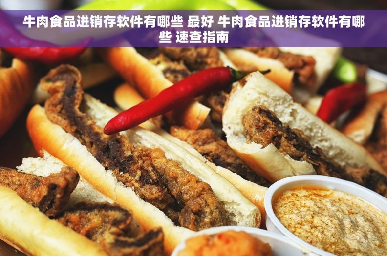 牛肉食品进销存软件有哪些 最好 牛肉食品进销存软件有哪些 速查指南