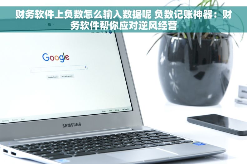 财务软件上负数怎么输入数据呢 负数记账神器：财务软件帮你应对逆风经营