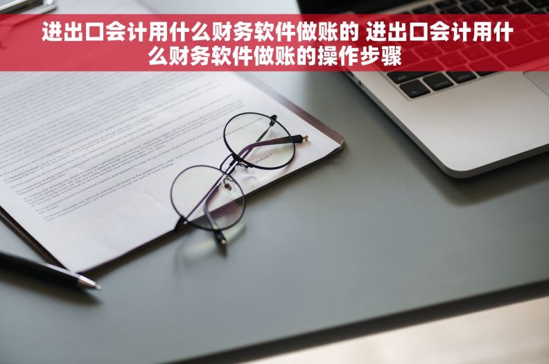  进出口会计用什么财务软件做账的 进出口会计用什么财务软件做账的操作步骤