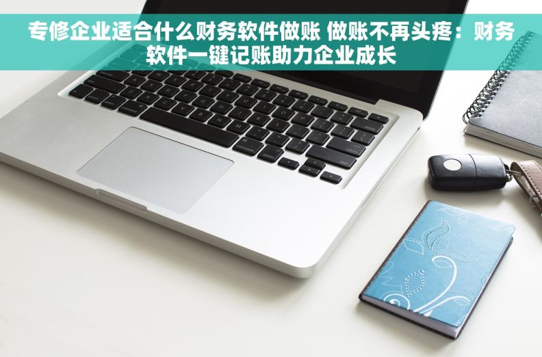 专修企业适合什么财务软件做账 做账不再头疼：财务软件一键记账助力企业成长