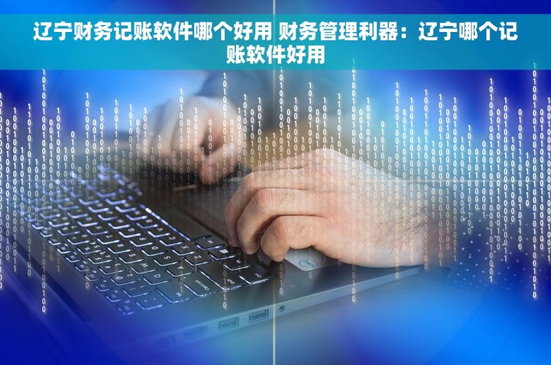 辽宁财务记账软件哪个好用 财务管理利器：辽宁哪个记账软件好用