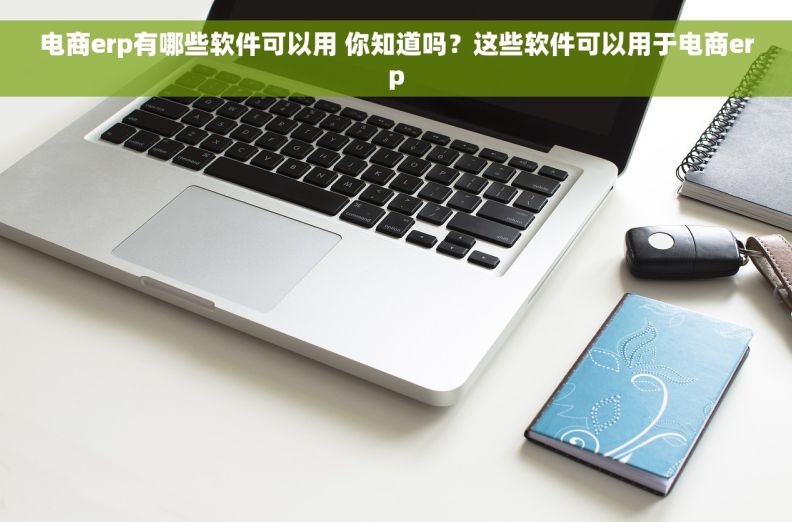 电商erp有哪些软件可以用 你知道吗？这些软件可以用于电商erp