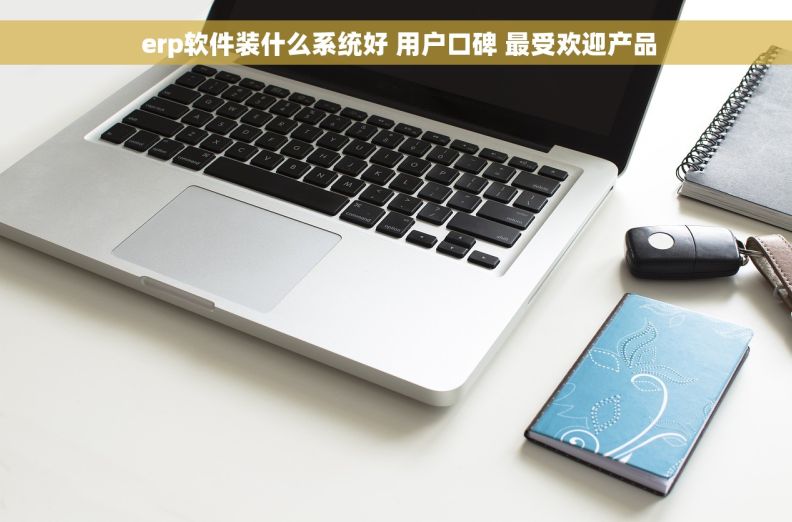  erp软件装什么系统好 用户口碑 最受欢迎产品