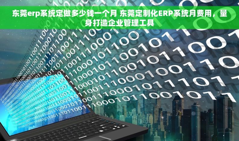 东莞erp系统定做多少钱一个月 东莞定制化ERP系统月费用，量身打造企业管理工具