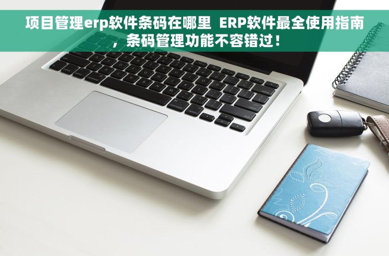 项目管理erp软件条码在哪里  ERP软件最全使用指南，条码管理功能不容错过！