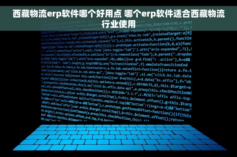 西藏物流erp软件哪个好用点 哪个erp软件适合西藏物流行业使用