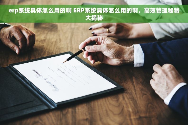 erp系统具体怎么用的啊 ERP系统具体怎么用的啊，高效管理秘籍大揭秘