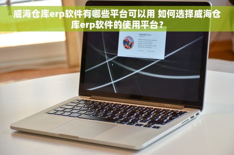 威海仓库erp软件有哪些平台可以用 如何选择威海仓库erp软件的使用平台？