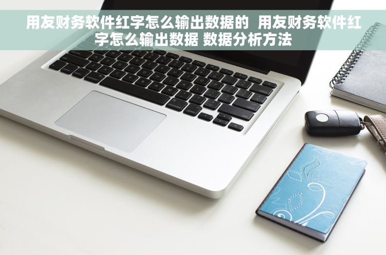 用友财务软件红字怎么输出数据的  用友财务软件红字怎么输出数据 数据分析方法