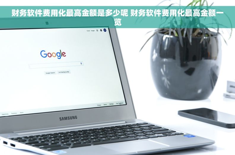 财务软件费用化最高金额是多少呢 财务软件费用化最高金额一览