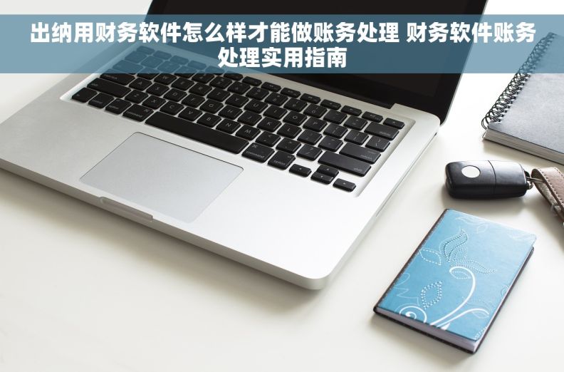 出纳用财务软件怎么样才能做账务处理 财务软件账务处理实用指南