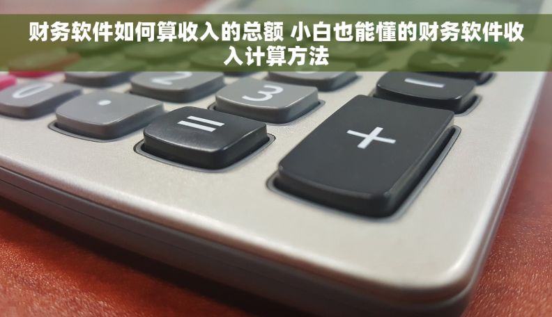 财务软件如何算收入的总额 小白也能懂的财务软件收入计算方法