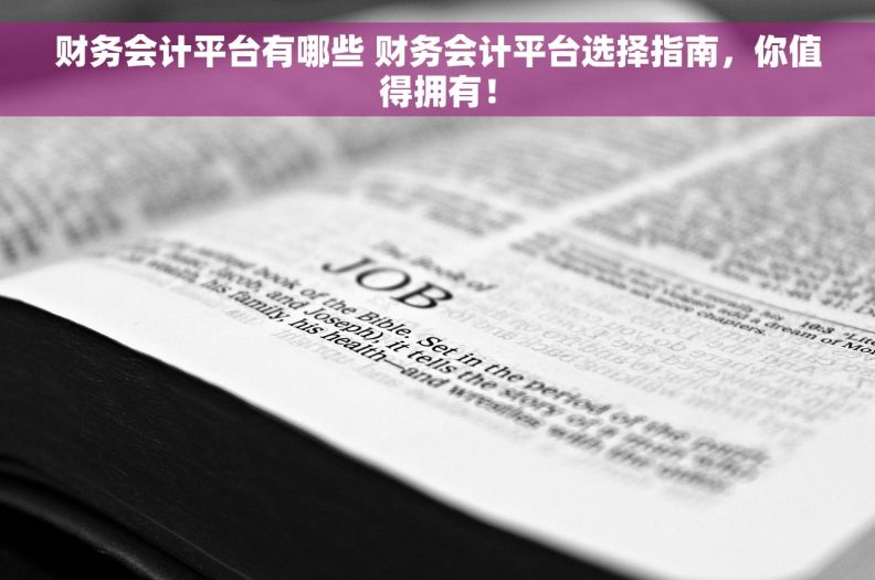 财务会计平台有哪些 财务会计平台选择指南，你值得拥有！