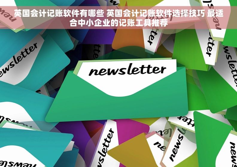 英国会计记账软件有哪些 英国会计记账软件选择技巧 最适合中小企业的记账工具推荐