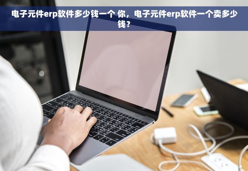 电子元件erp软件多少钱一个 你，电子元件erp软件一个卖多少钱？