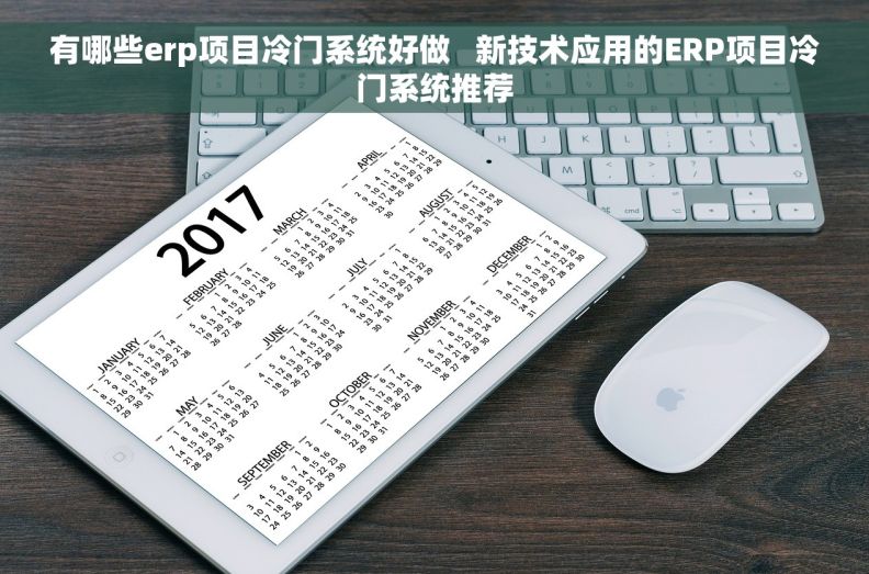 有哪些erp项目冷门系统好做   新技术应用的ERP项目冷门系统推荐