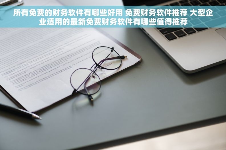 所有免费的财务软件有哪些好用 免费财务软件推荐 大型企业适用的最新免费财务软件有哪些值得推荐