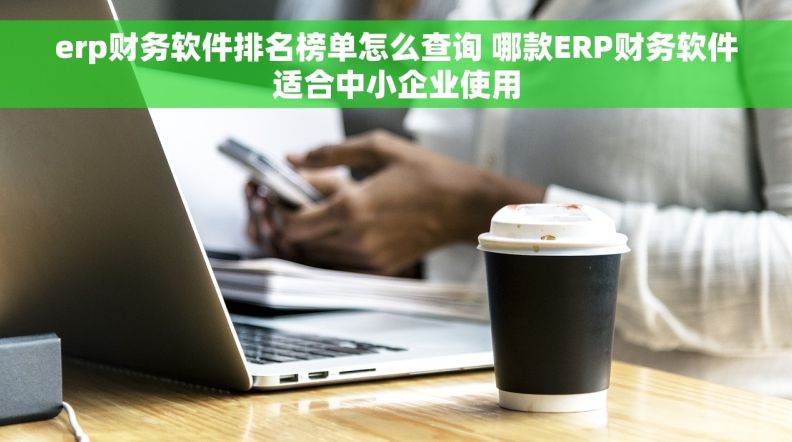 erp财务软件排名榜单怎么查询 哪款ERP财务软件适合中小企业使用