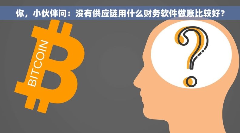 你，小伙伴问：没有供应链用什么财务软件做账比较好？