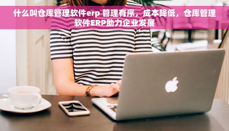 什么叫仓库管理软件erp 管理有序，成本降低，仓库管理软件ERP助力企业发展