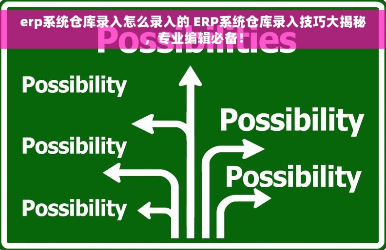 erp系统仓库录入怎么录入的 ERP系统仓库录入技巧大揭秘，专业编辑必备！