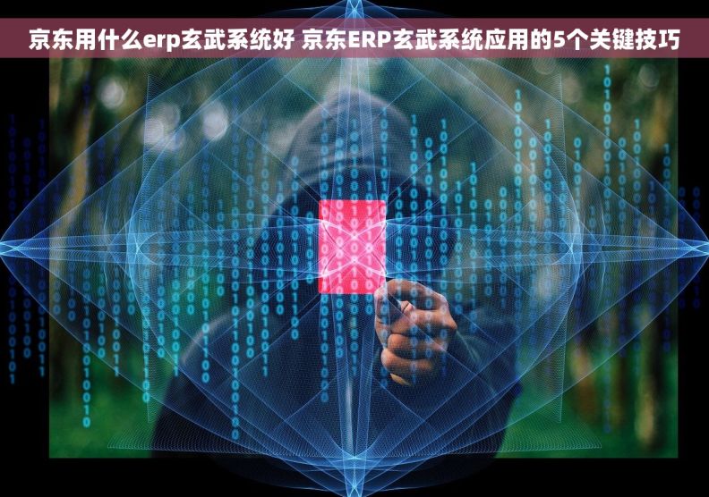 京东用什么erp玄武系统好 京东ERP玄武系统应用的5个关键技巧