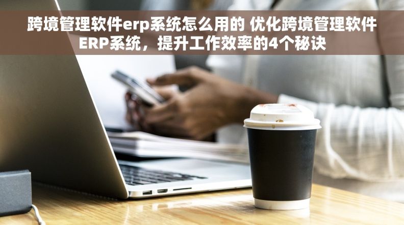 跨境管理软件erp系统怎么用的 优化跨境管理软件ERP系统，提升工作效率的4个秘诀