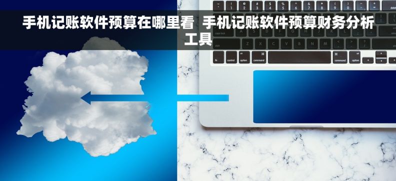 手机记账软件预算在哪里看  手机记账软件预算财务分析工具