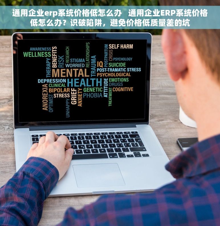 通用企业erp系统价格低怎么办   通用企业ERP系统价格低怎么办？识破陷阱，避免价格低质量差的坑