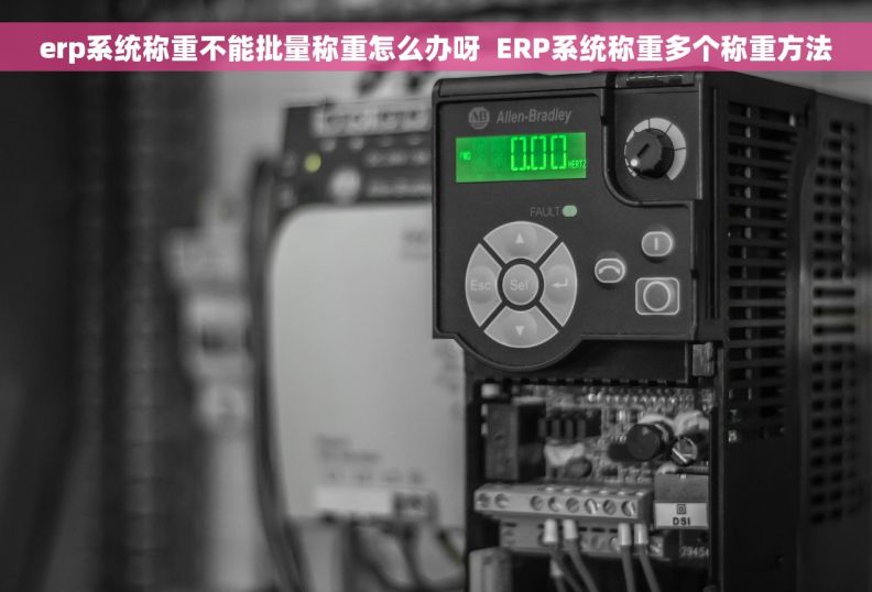 erp系统称重不能批量称重怎么办呀  ERP系统称重多个称重方法