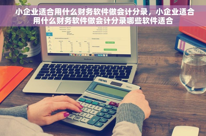   小企业适合用什么财务软件做会计分录，小企业适合用什么财务软件做会计分录哪些软件适合