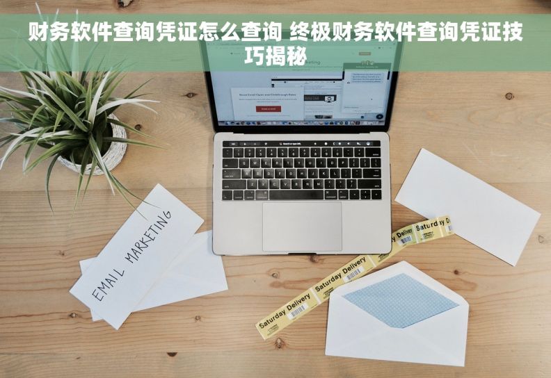 财务软件查询凭证怎么查询 终极财务软件查询凭证技巧揭秘