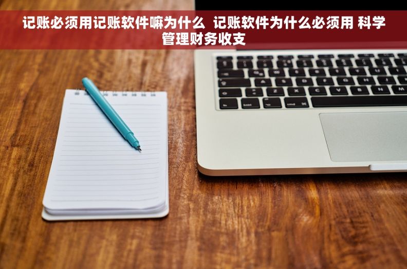 记账必须用记账软件嘛为什么  记账软件为什么必须用 科学管理财务收支