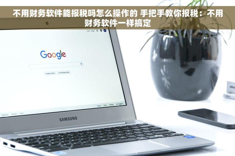 不用财务软件能报税吗怎么操作的 手把手教你报税：不用财务软件一样搞定