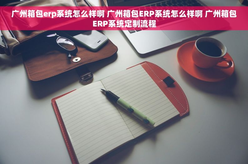 广州箱包erp系统怎么样啊 广州箱包ERP系统怎么样啊 广州箱包ERP系统定制流程