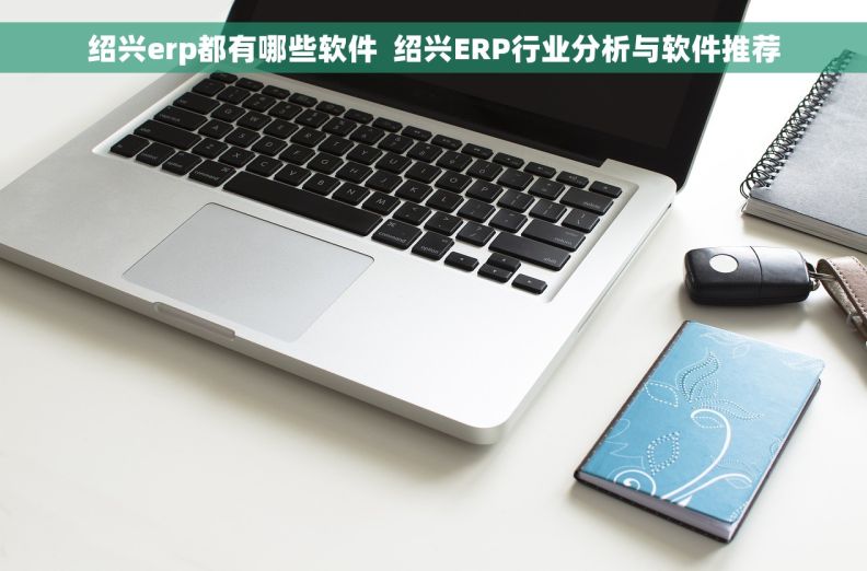 绍兴erp都有哪些软件  绍兴ERP行业分析与软件推荐