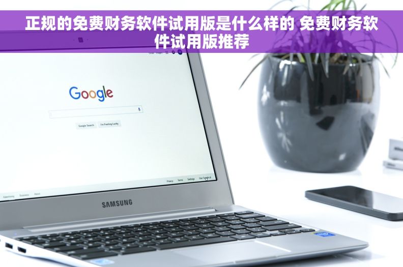 正规的免费财务软件试用版是什么样的 免费财务软件试用版推荐