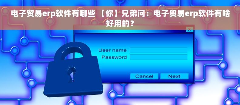 电子贸易erp软件有哪些 【你】兄弟问：电子贸易erp软件有啥好用的？