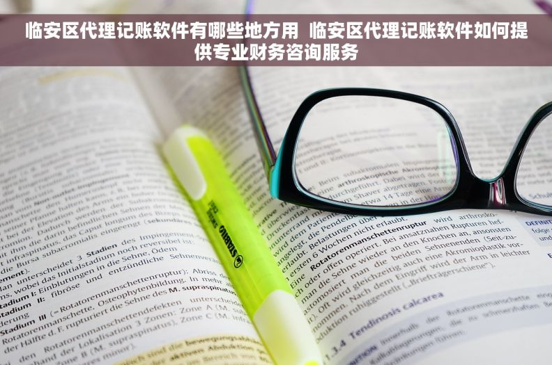 临安区代理记账软件有哪些地方用  临安区代理记账软件如何提供专业财务咨询服务