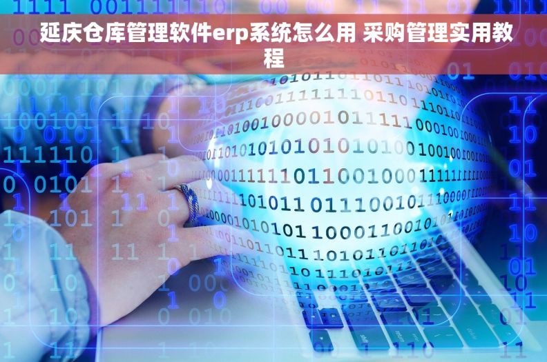  延庆仓库管理软件erp系统怎么用 采购管理实用教程