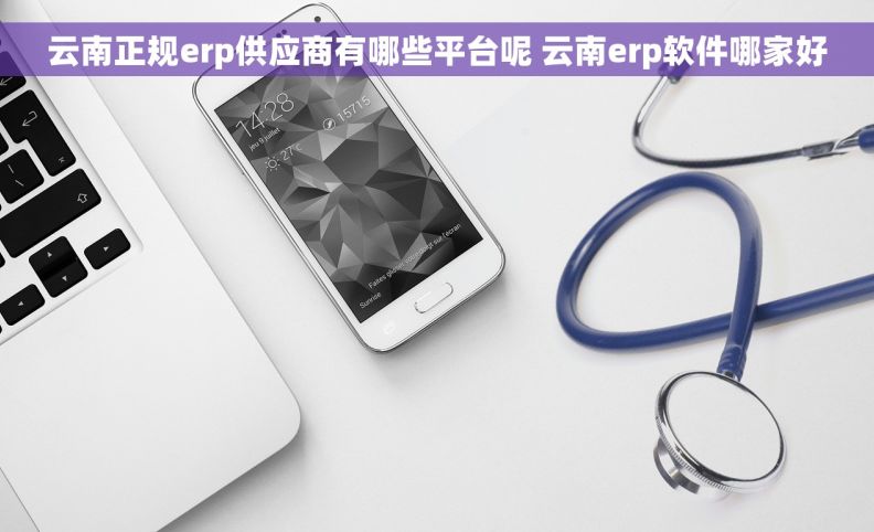 云南正规erp供应商有哪些平台呢 云南erp软件哪家好